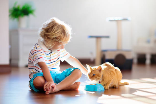 istock Child playing with cat at home. Kids and pets. 1132610574