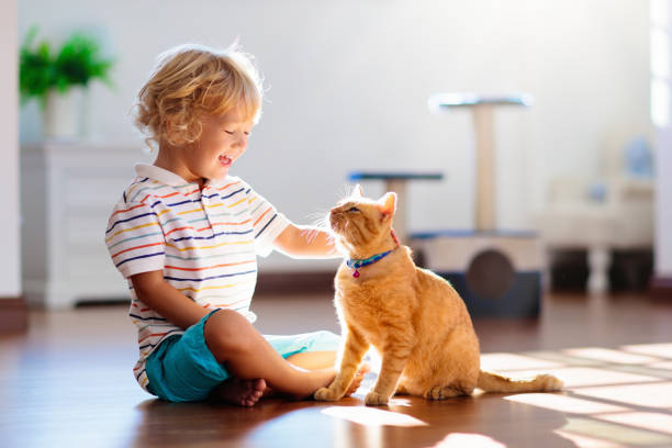 istock Child playing with cat at home. Kids and pets. 1132610936