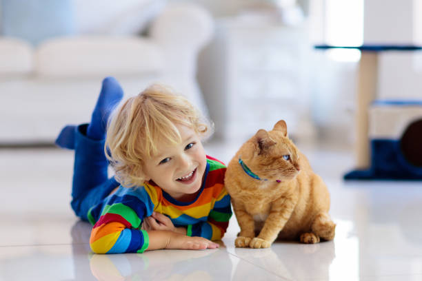 istock Child playing with cat at home. Kids and pets. 1132611048