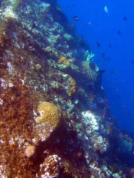 shipwreck USS Liberty - Bali Indinesia Asia