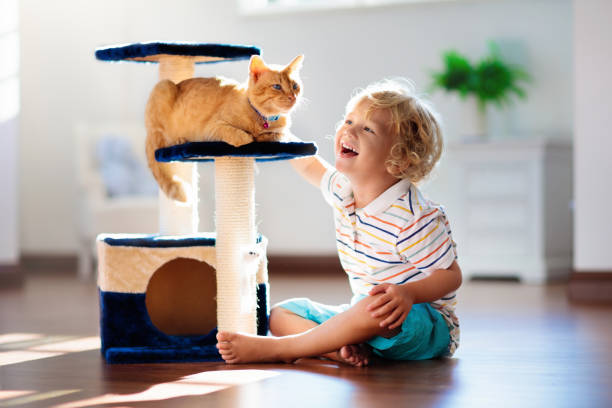 istock Child playing with cat at home. Kids and pets. 1132612154