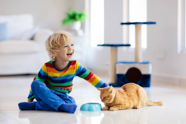 istock Child playing with cat at home. Kids and pets. 1132612907