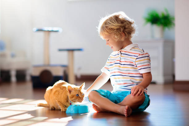 istock Child playing with cat at home. Kids and pets. 1132613162