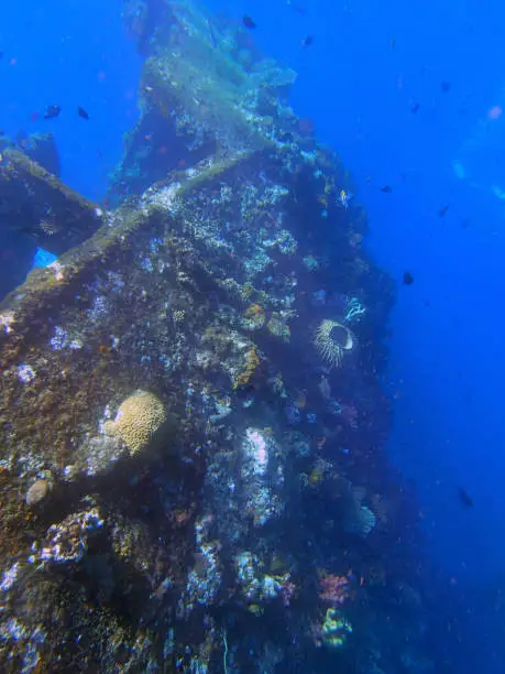 shipwreck USS Liberty with diver - Bali Indonesia Asia