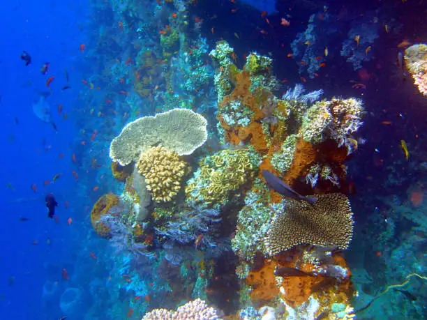 shipwreck USS Liberty - Bali Indinesia Asia