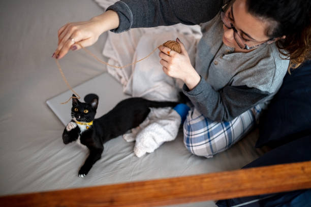 istock Young woman playing on the bed with her cat 1132615435