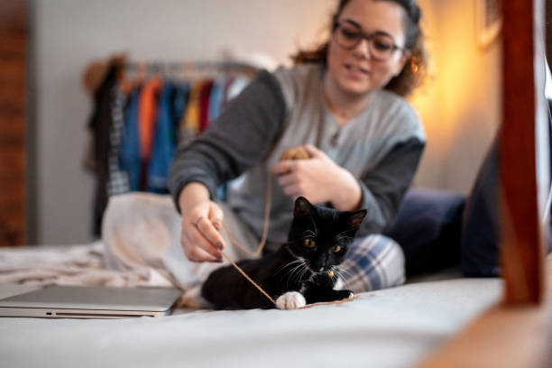 istock Young woman playing on the bed with her cat 1132615470