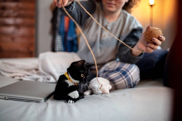 istock Young woman playing on the bed with her cat 1132615598