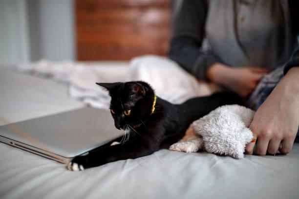 istock Young woman playing on the bed with her cat 1132615617