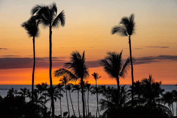 istock A tropical sunset with orange sky and clouds. 1132616818