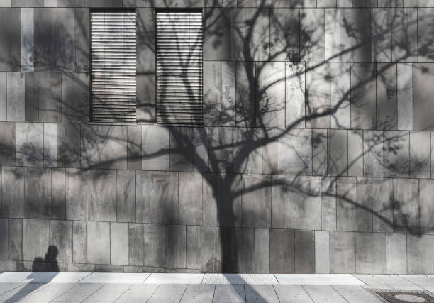 Shadow of a man and a tree reflected on the wall of a modern building with closed windows, in Stuttgart city, Germany. Environment issues.