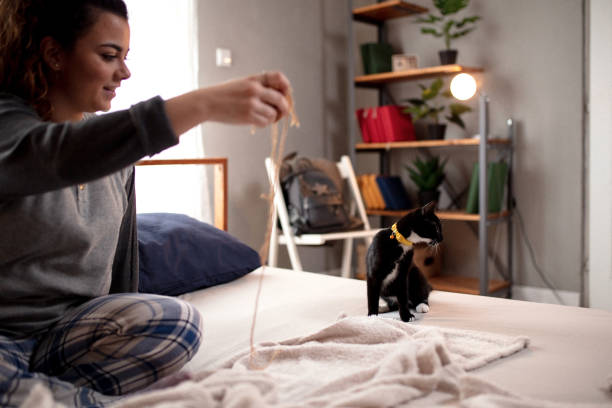 istock Young woman playing on the bed with her cat 1132617276