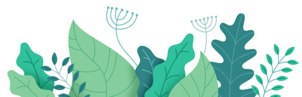 ilustrações de stock, clip art, desenhos animados e ícones de abstract plant border - flora ilustrações