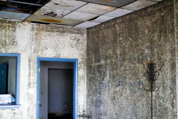 istock The grungy wall and ruined plasterboard 1132621901