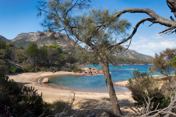 bella baia costiera in tasmania - freycinet national park foto e immagini stock