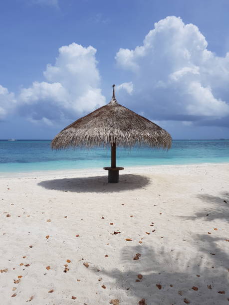 istock Paradise beach,  turquoise seas lapping white sandy beach, The Maldives 1132625351