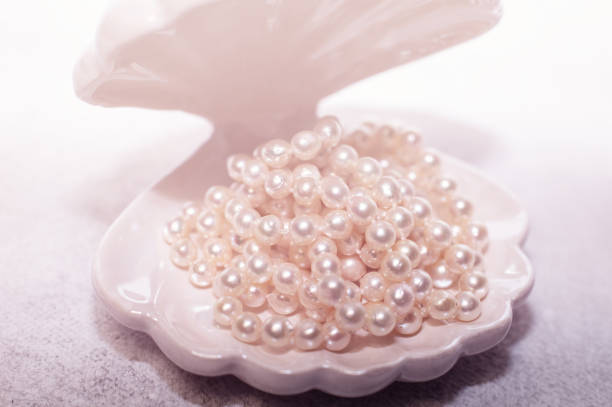 istock pearl necklace in a shell white background 1132627121