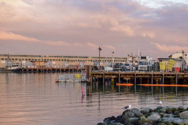 istock San Francisco Harbor at Sunset 1132629613