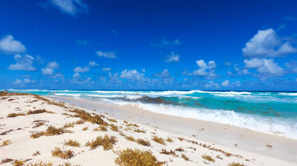 istock Caribbean Dream Beach Cancun Mexico 1132631451