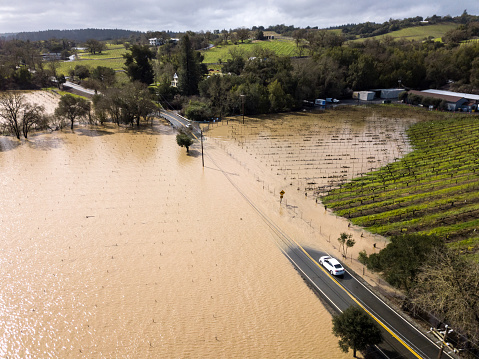 Flooding beside the Russian River on Westside Road. Healdsburg, Sonoma County, CA. 27Feb2019