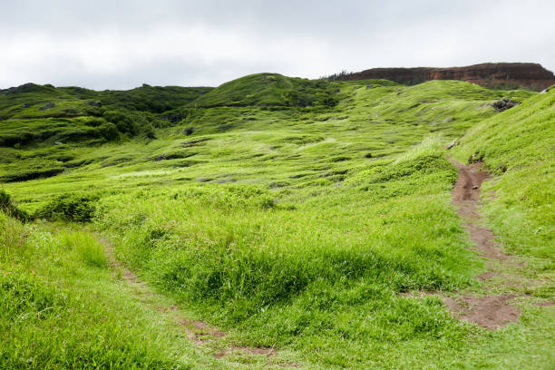 istock West Maui Circle Drive, Hawaii, USA 1132634422