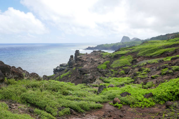 istock West Maui Circle Drive, Hawaii, USA 1132634430