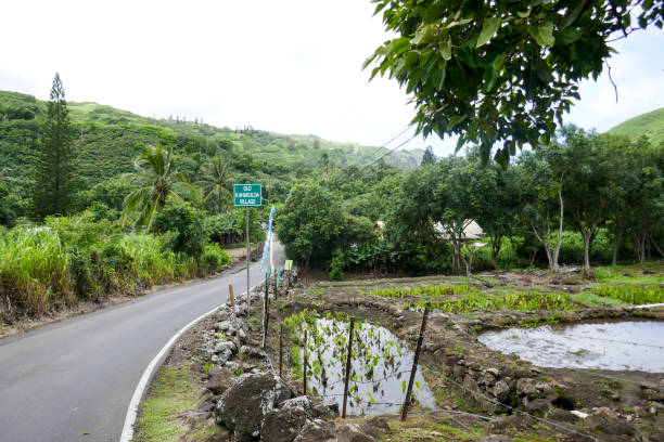 istock West Maui Circle Drive, Hawaii, USA 1132634513