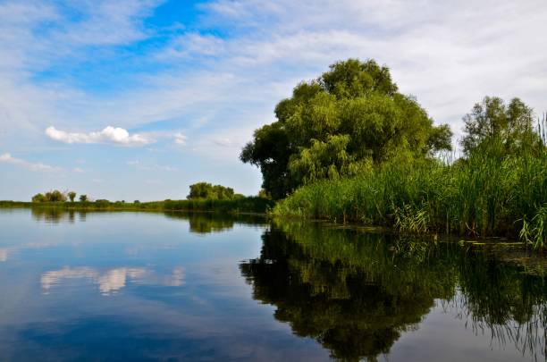istock Landscape river and reeds blue sky 1132634526