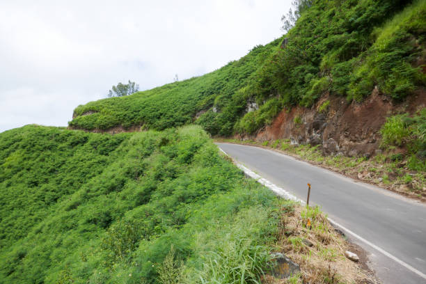 istock West Maui Circle Drive, Hawaii, USA 1132634531