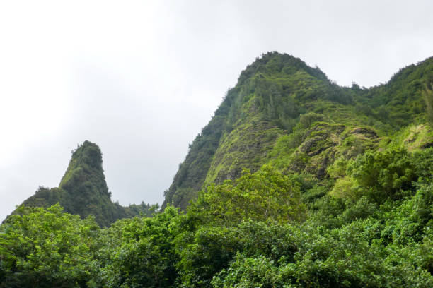 istock Iao Valley State Park, Maui, Hawaii, USA 1132635315