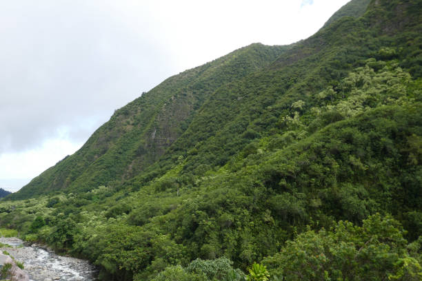 iao valley state park, maui, hawaii, usa - maui iao valley state park hawaii islands mountain imagens e fotografias de stock