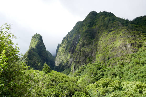 istock Iao Valley State Park, Maui, Hawaii, USA 1132635421