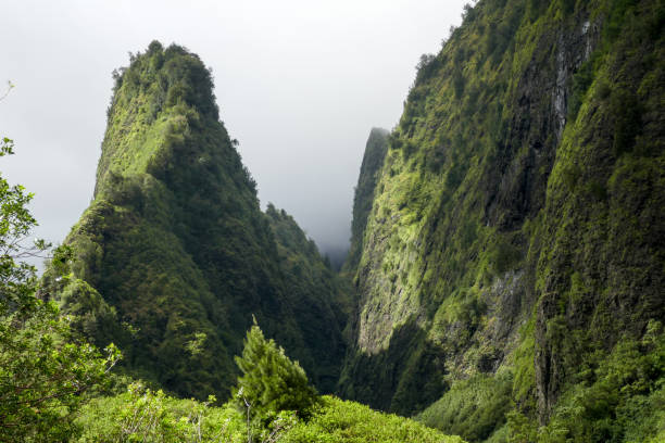 iao valley state park, maui, hawaii, usa - maui iao valley state park hawaii islands mountain imagens e fotografias de stock