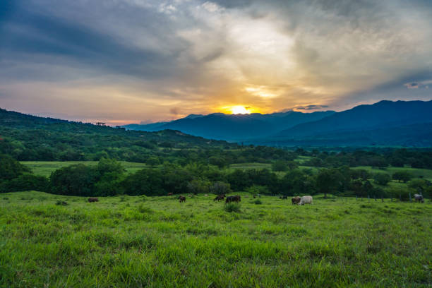 Huila, Colombia Landscape stock photo