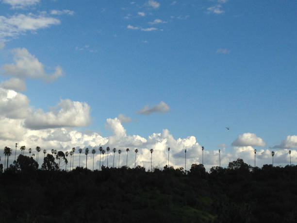 Landscape, Cloudscape, Winter