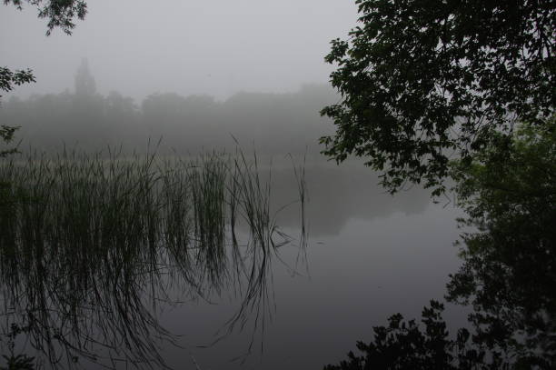 Misty lake Misty lake in the heath area cold Brunssummerheide rustige scène stock pictures, royalty-free photos & images