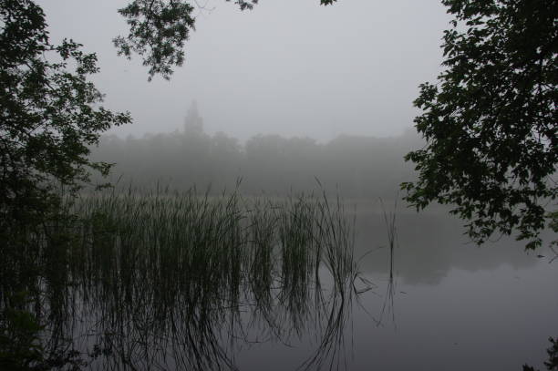 Misty lake Misty lake in the heath area cold Brunssummerheide rustige scène stock pictures, royalty-free photos & images