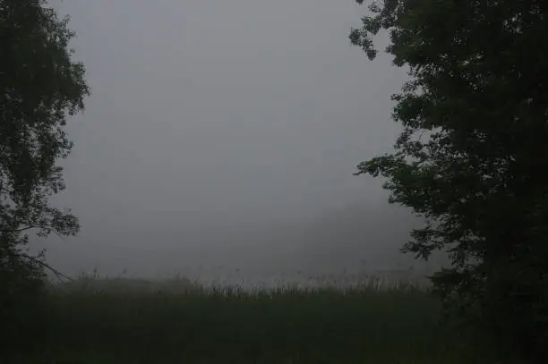 Misty lake in the heath area cold Brunssummerheide