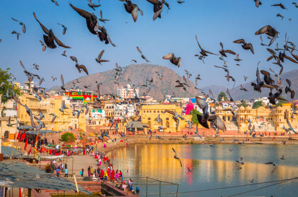 istock Panoramic view on Holy Lake and city Pushkar with doves, Rajasth 1132641223