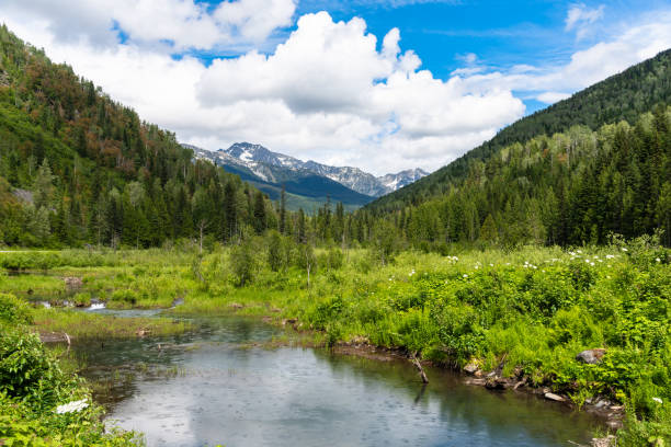 Magnificent Mountain Scenery in Summer