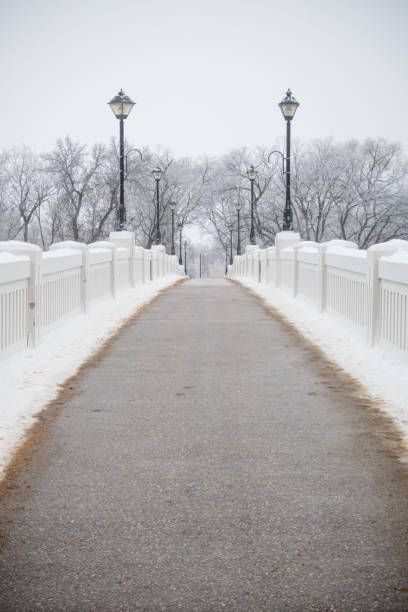 hoarfrost bridge - manitoba winnipeg winter bridge imagens e fotografias de stock