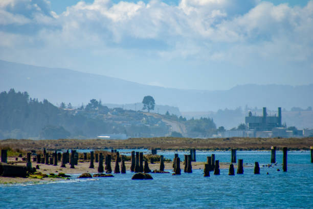 Looking south along Humboldt Bay towards the power plant in King Salmon, California.