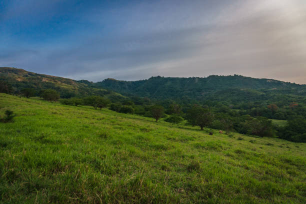 Huila, Colombia Landscape stock photo