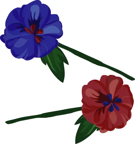 Vector illustration of Flowers in red and blue on white background. - Illustration. vector