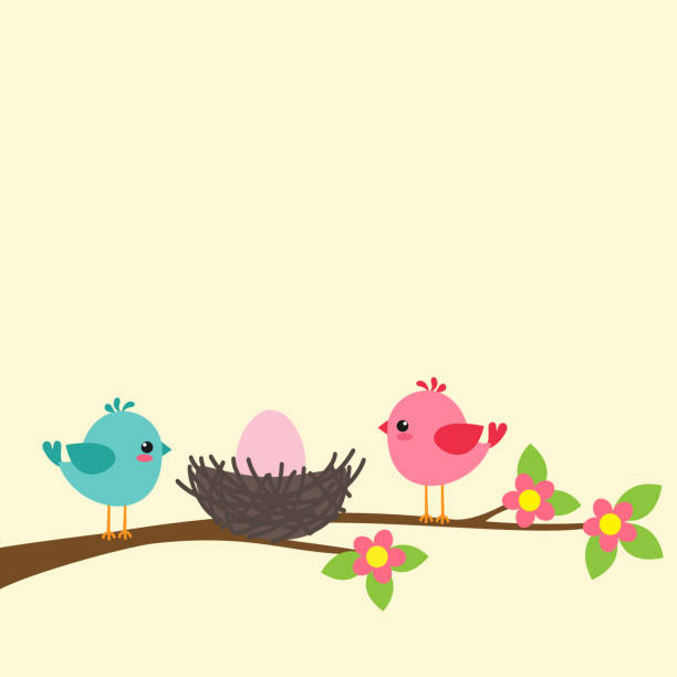 семейство птиц - loving bird love birds nest stock illustrations