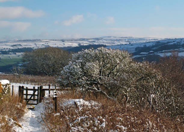 istock A panoramic winter scene with snow covered pennine hills and trees with a path and gate leading to fields on a bright sunlit day with blue sky in west yorkshire 1132647370