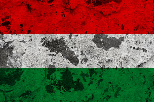 ungheria bandiera sul vecchio muro - hungary flag banner dirty foto e immagini stock