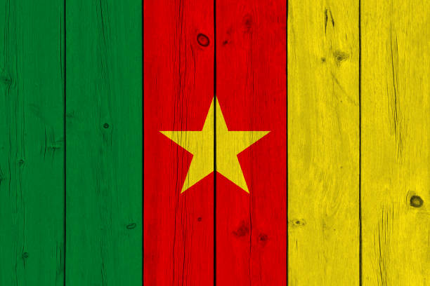 istock Cameroon flag painted on old wood plank 1132649823