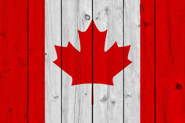 istock Canada flag painted on old wood plank 1132649824