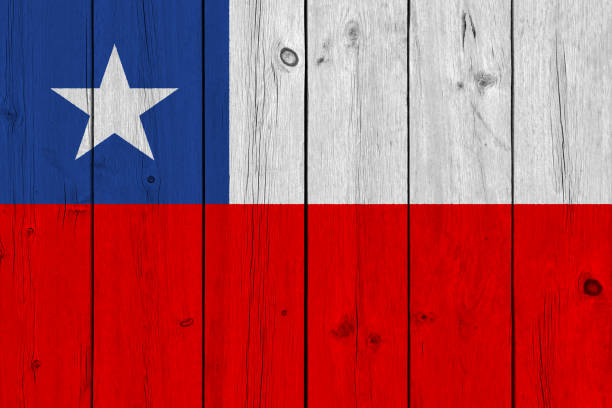 istock Chile flag painted on old wood plank 1132649839